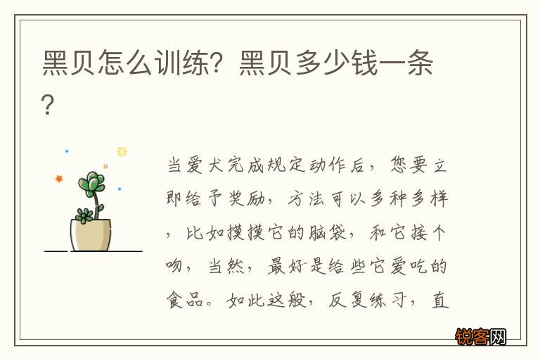 黑贝怎么训练？黑贝多少钱一条？
