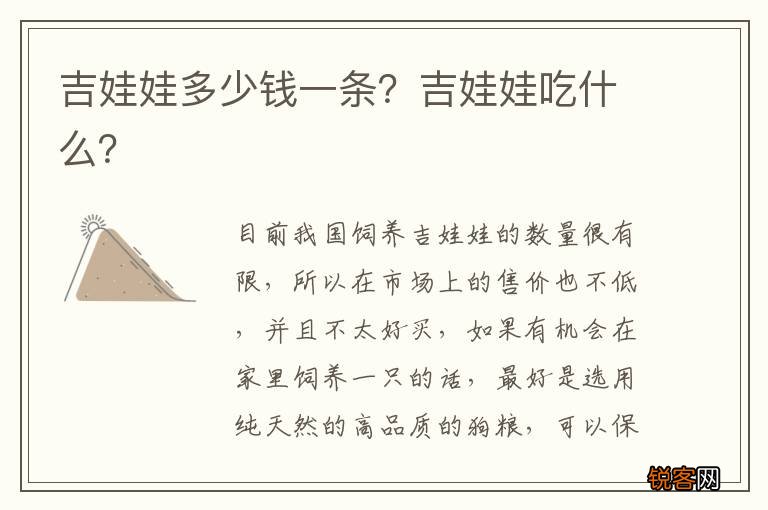 吉娃娃多少钱一条？吉娃娃吃什么？