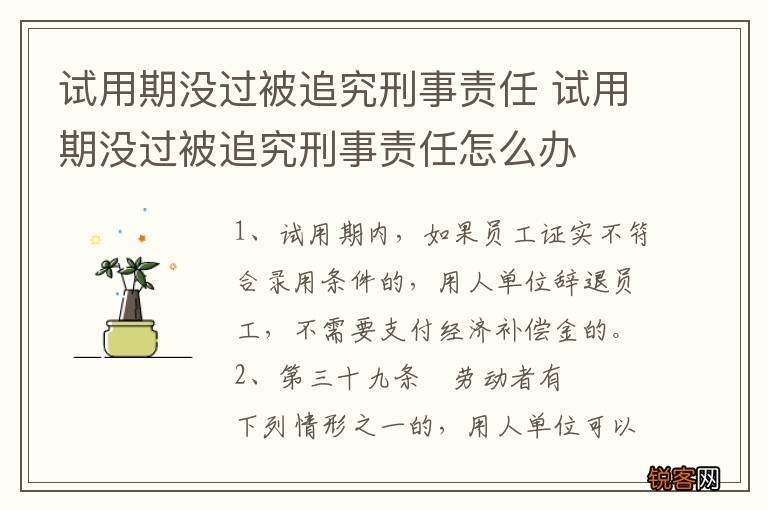 试用期没过被追究刑事责任 试用期没过被追究刑事责任怎么办
