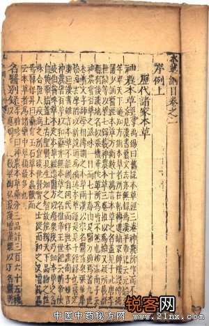 本草纲目 民间对原版发掘 中药图谱大全