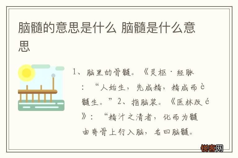 脑髓的意思是什么 脑髓是什么意思