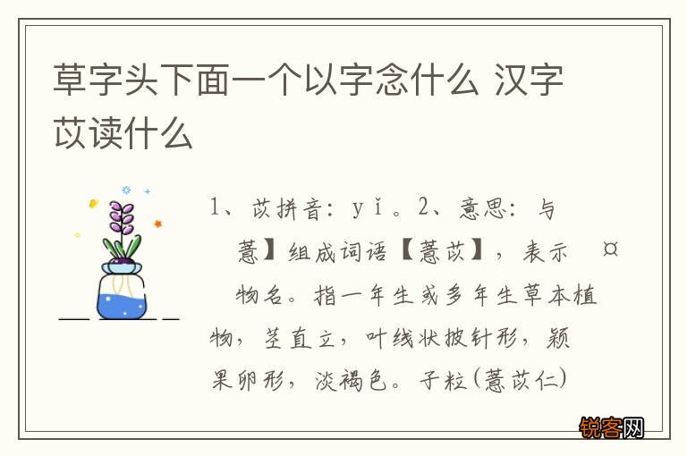 草字头下面一个以字念什么 汉字苡读什么
