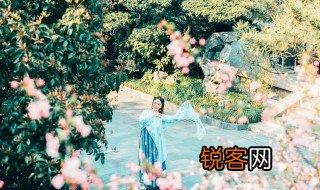 攀荷弄其珠荡漾不成圆的意思 攀荷弄其珠荡漾不成圆的出处