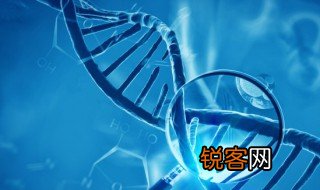 自由组合定律的定义是什么 自由组合定律简介