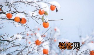 寒冬腊月的意思是什么 寒冬腊月词语的解释
