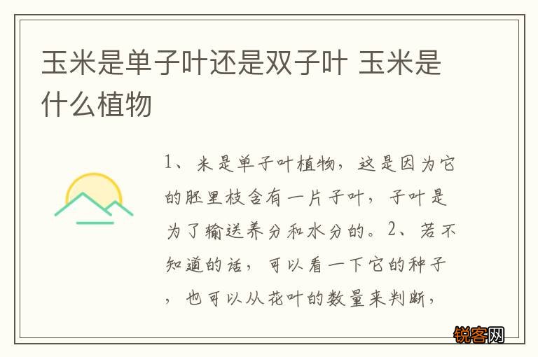 玉米是单子叶还是双子叶 玉米是什么植物