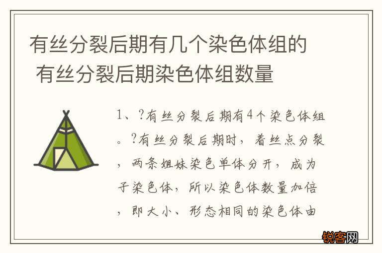 有丝分裂后期有几个染色体组的 有丝分裂后期染色体组数量