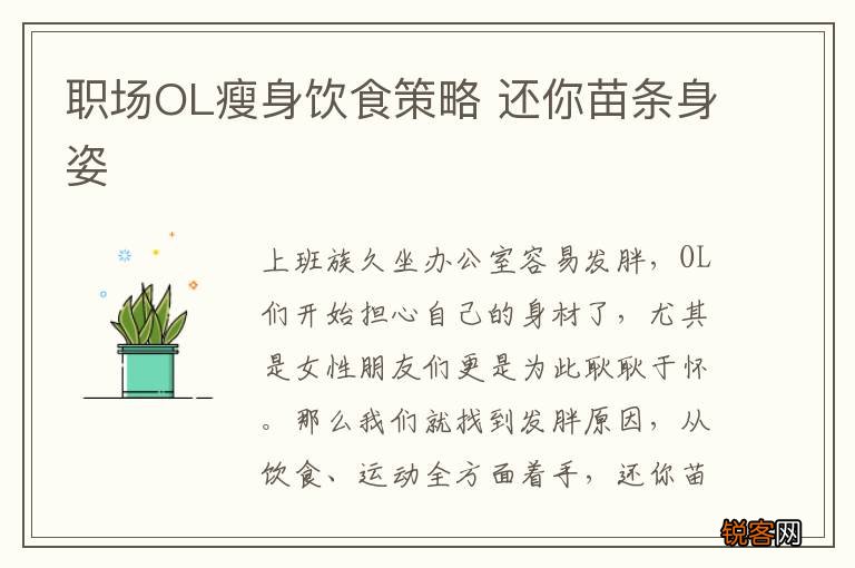 职场OL瘦身饮食策略 还你苗条身姿