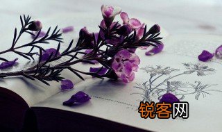 国际新闻工作者日内容 国际新闻工作者日介绍