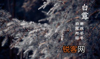 白露的诗 关于白露的诗有哪些