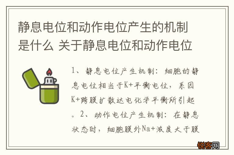 静息电位和动作电位产生的机制是什么 关于静息电位和动作电位产生的机制