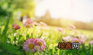 有关春天的排比句和比喻句 有关春天的排比句和比喻句举例