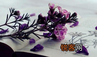 flz什么意思 flz解释