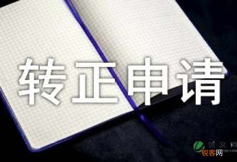 置业顾问转正申请书
