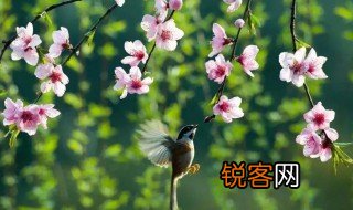 春风一拂千山绿下一句 春风一拂千山绿出处介绍
