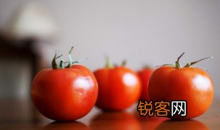 西红柿英语怎么说 西红柿英语是什么