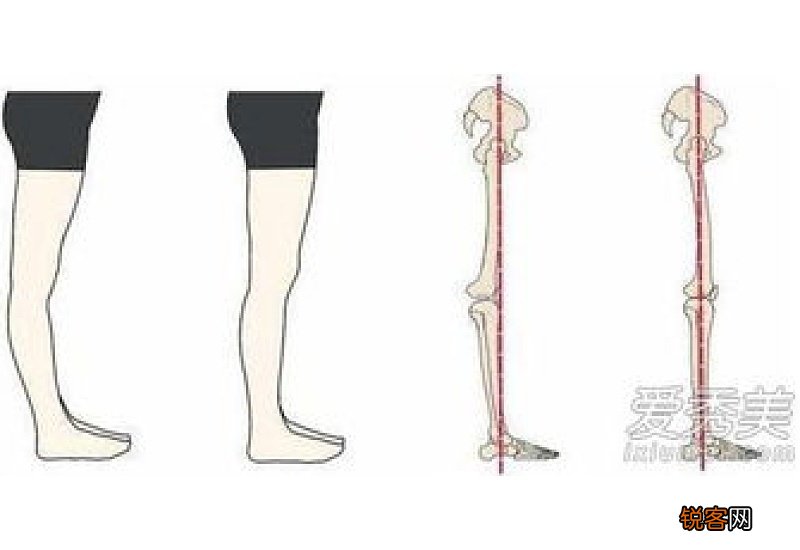 怎么瘦腿肌肉