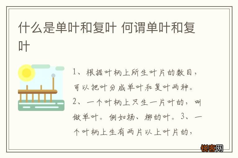 什么是单叶和复叶 何谓单叶和复叶