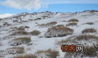什么是苔原气候 苔原气候简单介绍