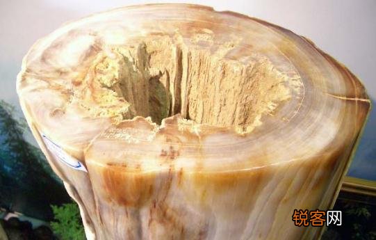 树化玉有哪些价值？ 树化玉有哪些价值和用途