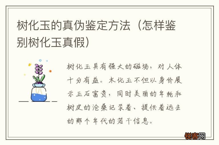 怎样鉴别树化玉真假 树化玉的真伪鉴定方法