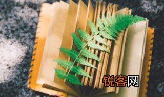died什么意思 died的意思是什么？