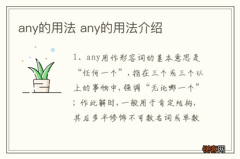 any的用法 any的用法介绍