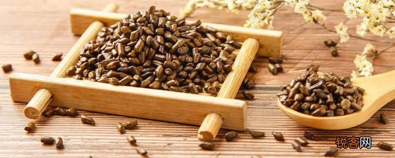 决明子泡水的功效与作用 决明子泡水的食用方式和注意事项!