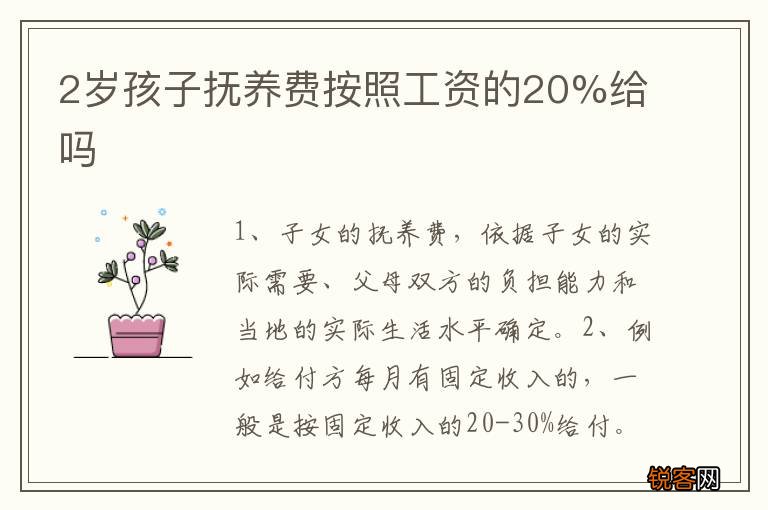 2岁孩子抚养费按照工资的20%给吗