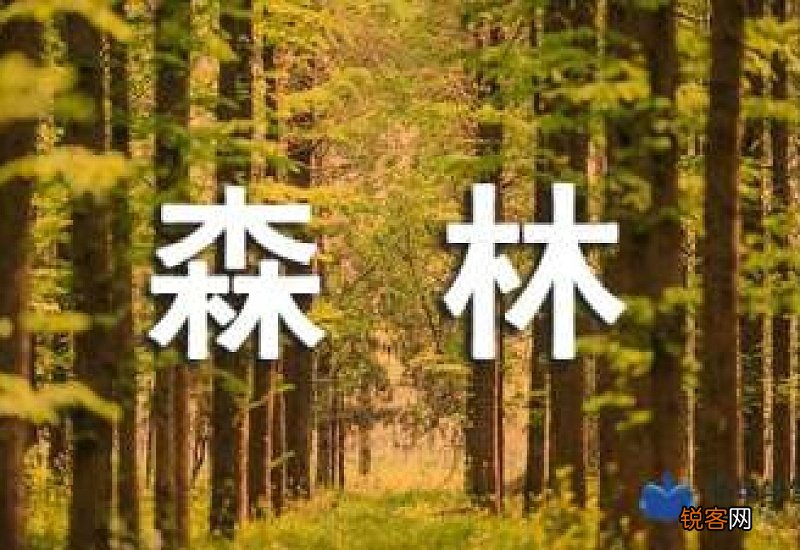 森林防火承诺书