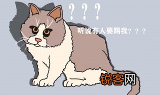 踢猫效应是什么意思 踢猫效应介绍