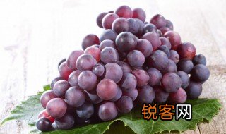 葡萄的萄可以组什么词两个字 葡萄的萄能组哪些两个字的词语