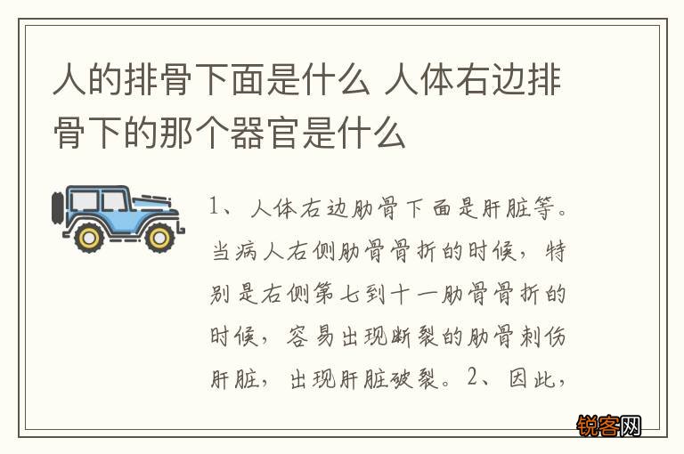 人的排骨下面是什么 人体右边排骨下的那个器官是什么