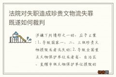法院对失职造成珍贵文物流失罪既遂如何裁判