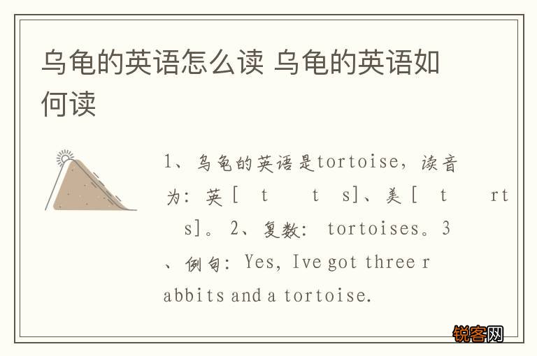 乌龟的英语怎么读 乌龟的英语如何读