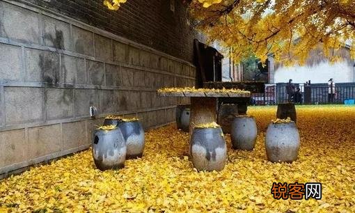 优秀管理者：员工总是无故旷工怎么办？