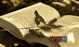 导游打一成语 导游打一成语介绍