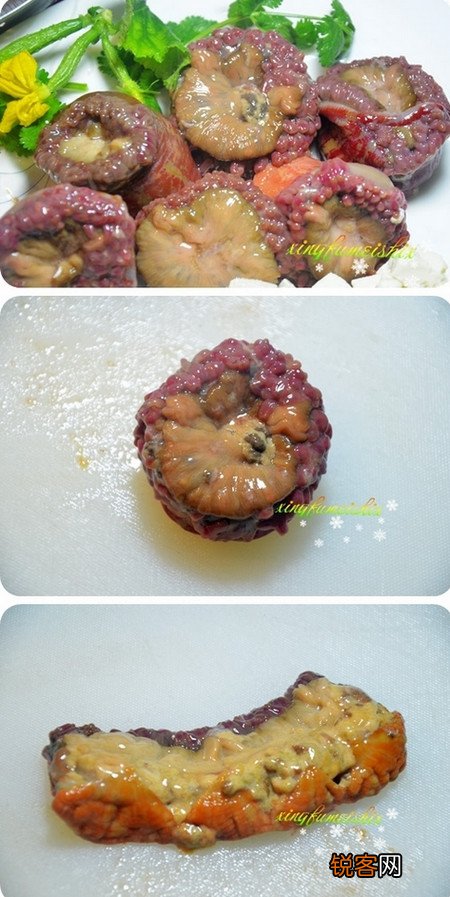 辣炒海葵