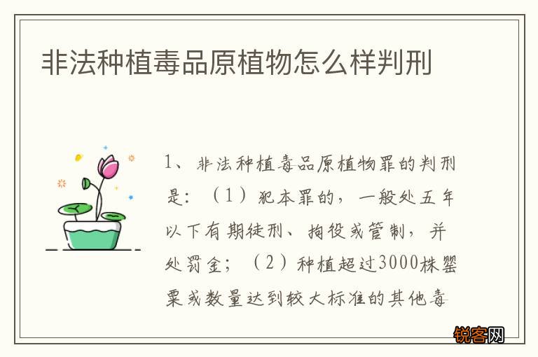非法种植毒品原植物怎么样判刑