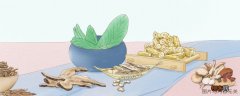 岩五加的功效与作用