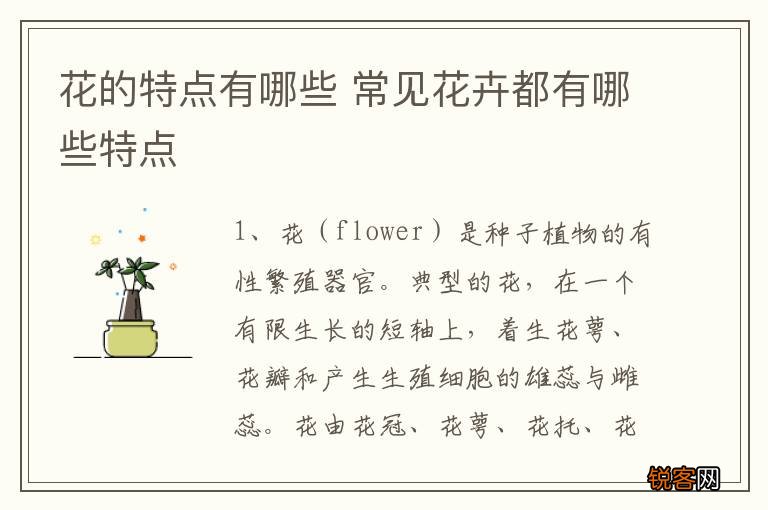 花的特点有哪些 常见花卉都有哪些特点