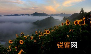 什么植物会变化 哪些植物会变化