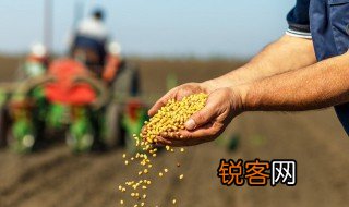 有关种子的知识有哪些 有哪些种子的知识