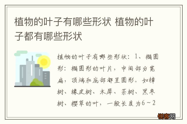 植物的叶子有哪些形状 植物的叶子都有哪些形状