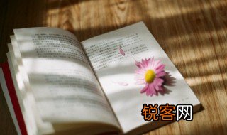 踔厉风发名词解释 踔厉风发的含义