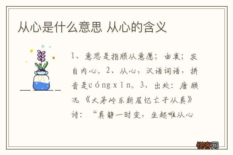 从心是什么意思 从心的含义