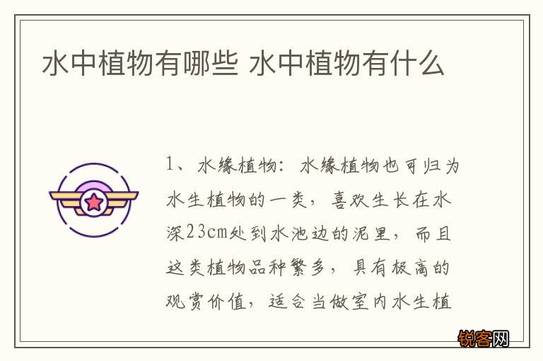 水中植物有哪些 水中植物有什么