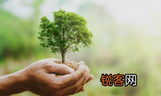 手抄环保报文字内容 手抄环保报文字内容精选