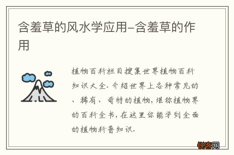 含羞草的风水学应用-含羞草的作用