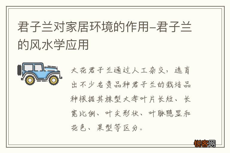 君子兰对家居环境的作用-君子兰的风水学应用